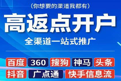某某SEM服务公司成功案例：从数据出发的营销策略